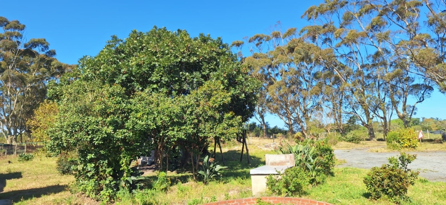 Commercial Property for Sale in Cove Ridge East Eastern Cape